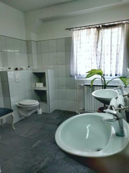 וודיצה Apartment Rude מראה חיצוני תמונה